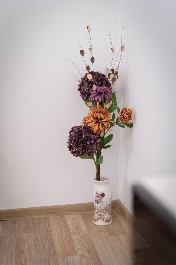 Isaran Coresi Apartment บราชอฟ ภายนอก รูปภาพ